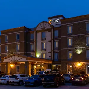 Comfort Bayer's Hotel